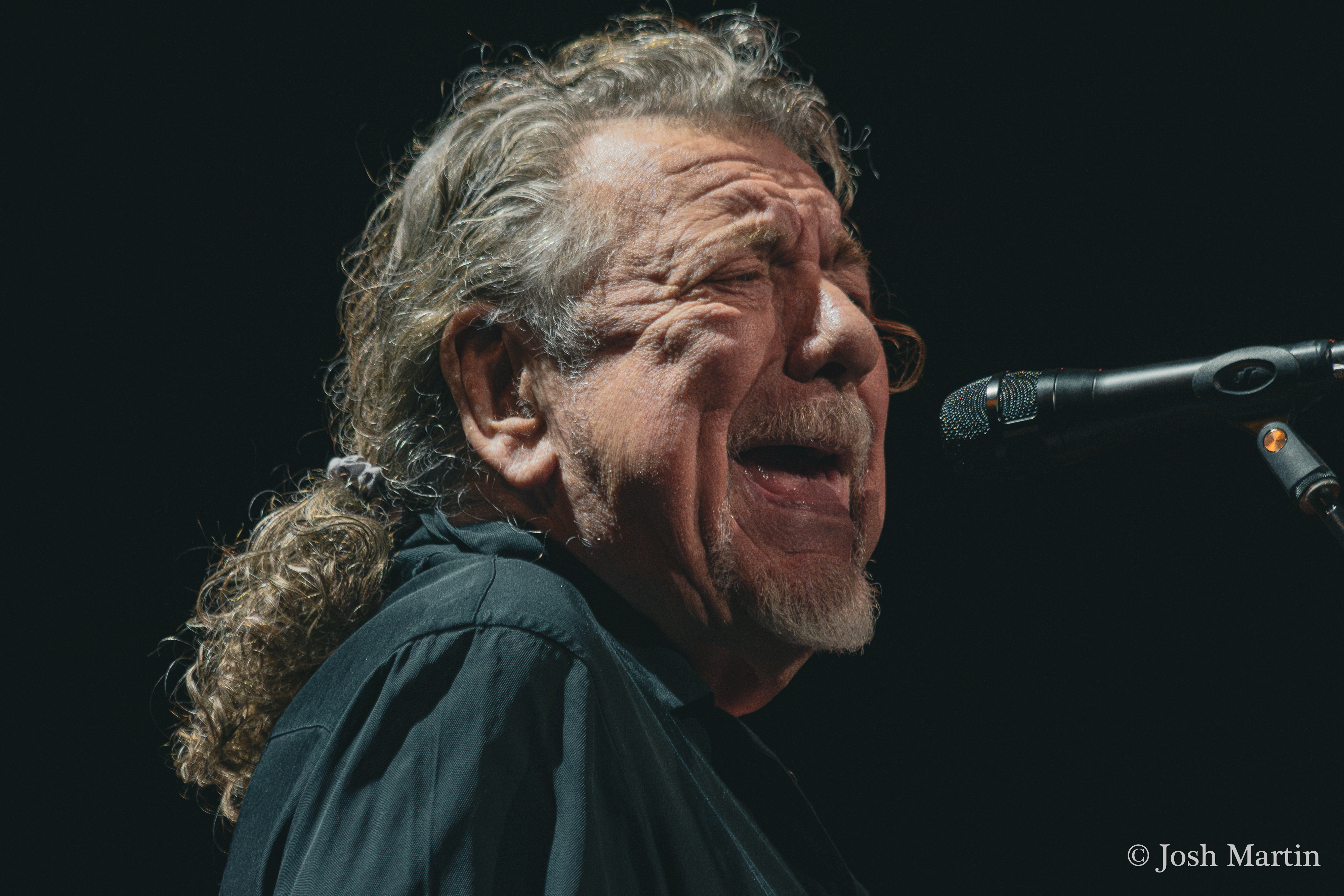 Robert Plant, Brooklyn
